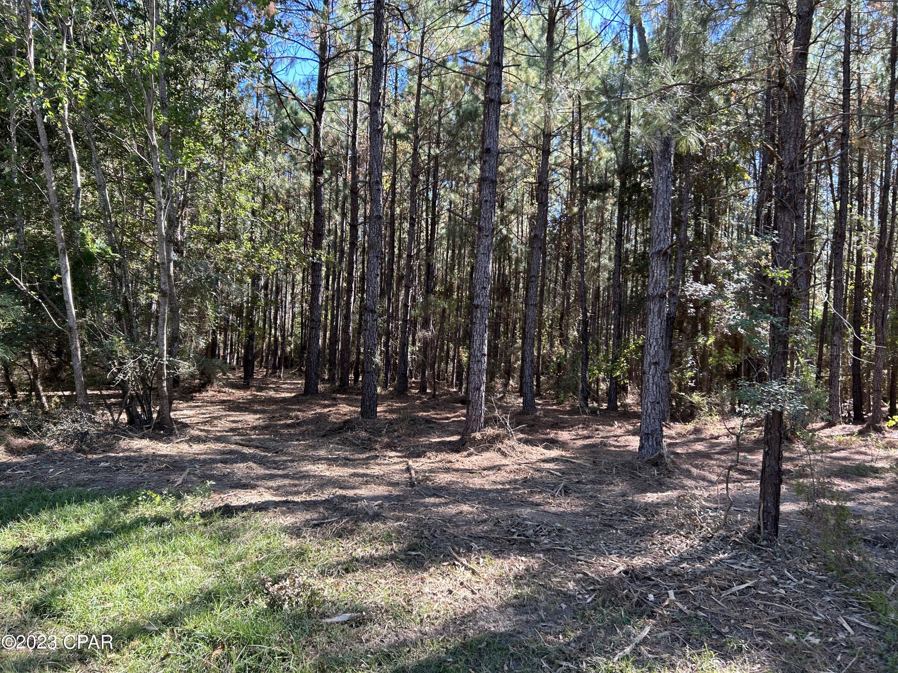 0 Grady Baggett Road Baker, FL 32531 - Photo 4 of 28