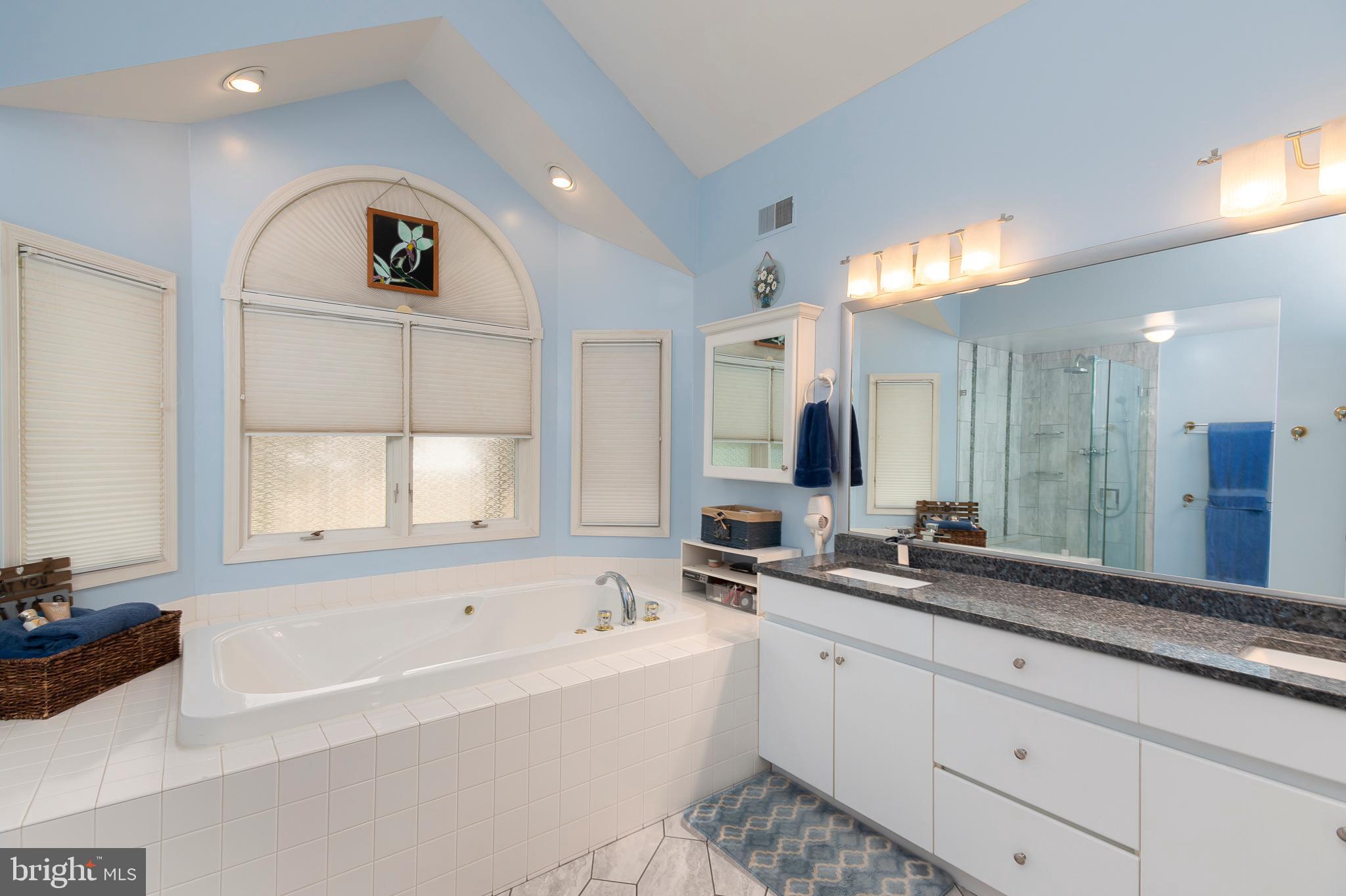 11309 Ridermark Row Columbia, MD 21044 - Photo 14 of 41 First Floor Master Bathroom