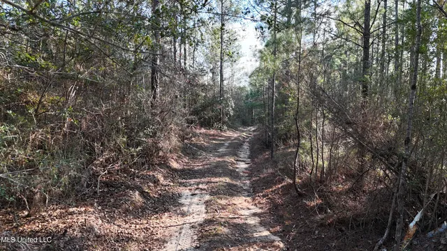$299,000 | 588 A Old Highway, Perkinston, MS 39573