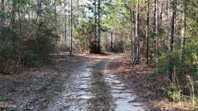 $299,000 | 588 A Old Highway, Perkinston, MS 39573