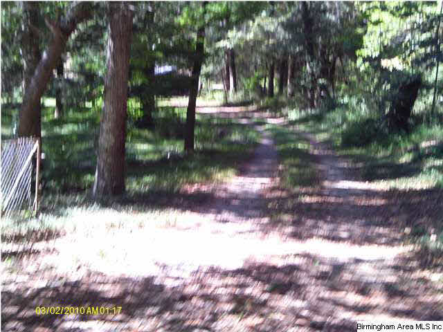 5343 Highway 16 Montevallo Al Montevallo, AL 35115 - Photo 3 of 8