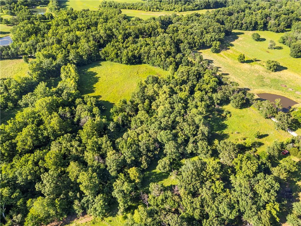 18184 South 1300th Road Nevada, MO 64772 - Photo 8 of 17