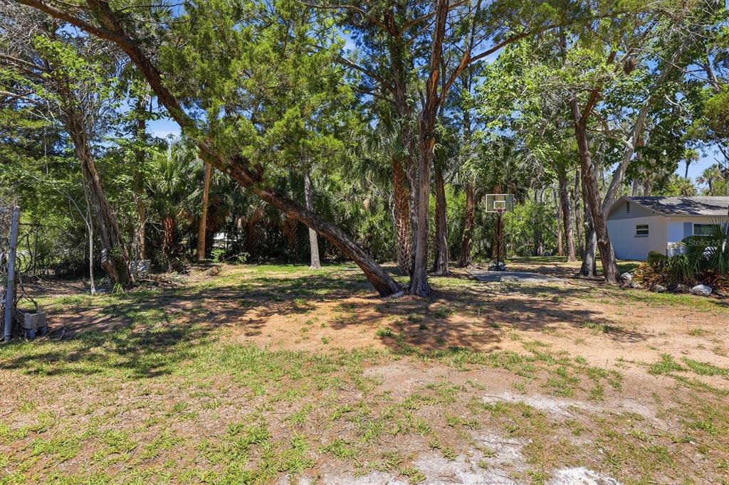 6240 Colony Circle Weeki Wachee, FL 34607 - Photo 6 of 15 a view of a yard with plants and trees