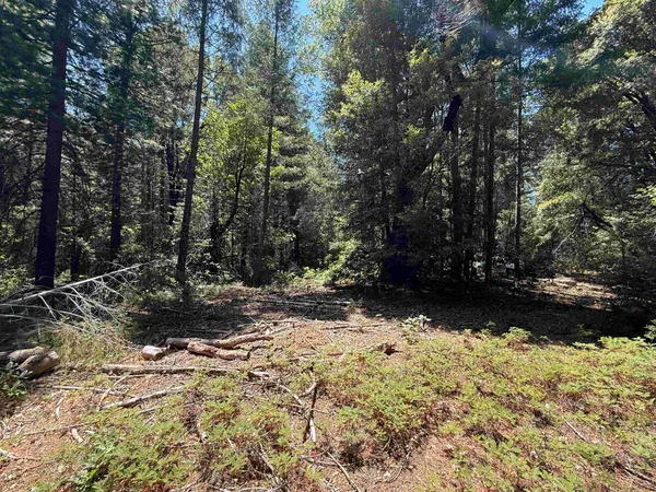$259,000 | 22729 Tyler Foote Crossing Road, Nevada City, CA 95959