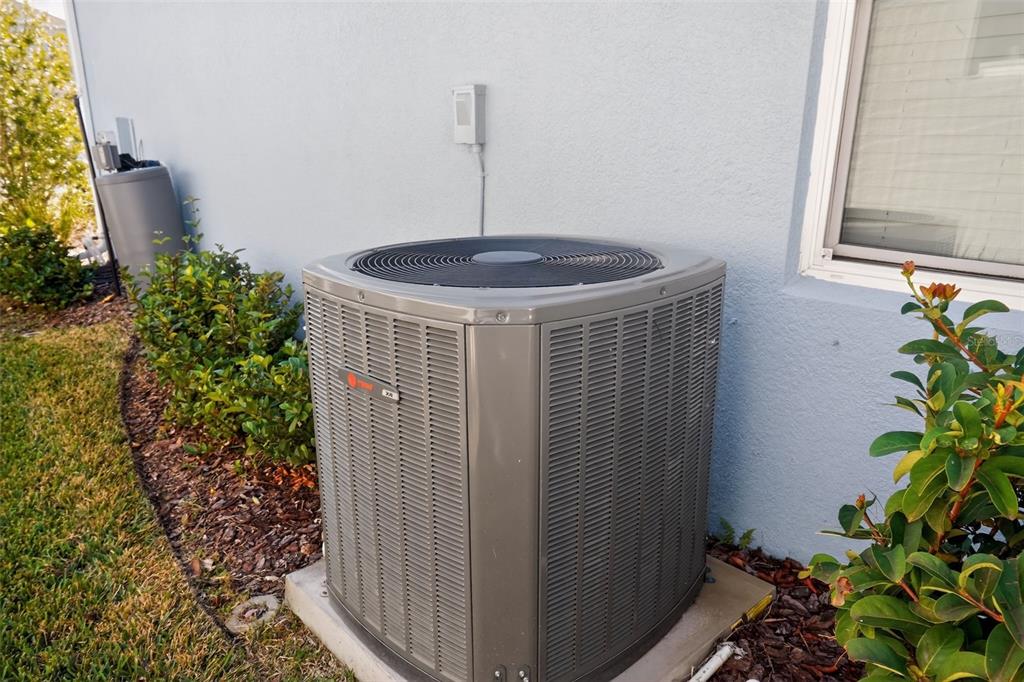 10710 Falling Leaf Court Parrish, FL 34219 - Photo 46 of 50 a close up of a plant in a pot