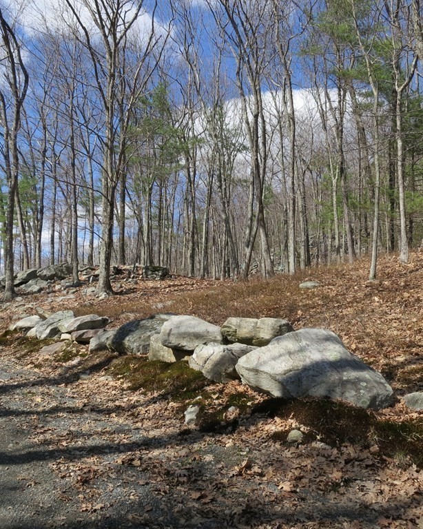 32 Sumner Mountain Road Shutesbury, MA 01072 - Photo 2 of 7 Gallery Image 2