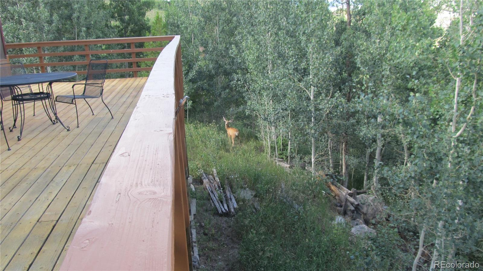 1397 Blue Ridge Road Silverthorne, CO 80498 - Photo 14 of 28 Gallery Image 14
