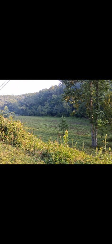 2231 Camp Creek Road Murphy, NC 28906 - Photo 3 of 18 Gallery Image 3