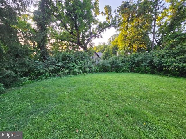 8128 Cedar Road Elkins Park, PA 19027 - Photo 5 of 26