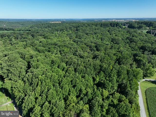 0 Rock Springs Road Conowingo, MD 21918 - Photo 17 of 79