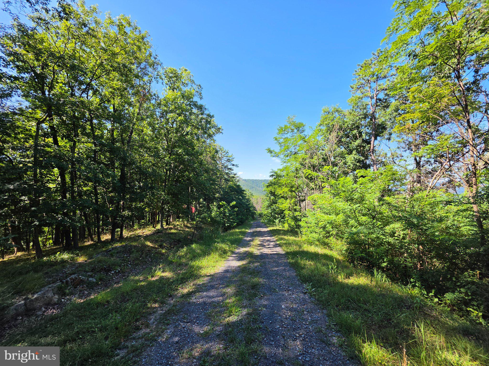 Lot 75 Hunters Rdg Trail Milam, WV 26838 - Photo 6 of 49 Gallery Image 6
