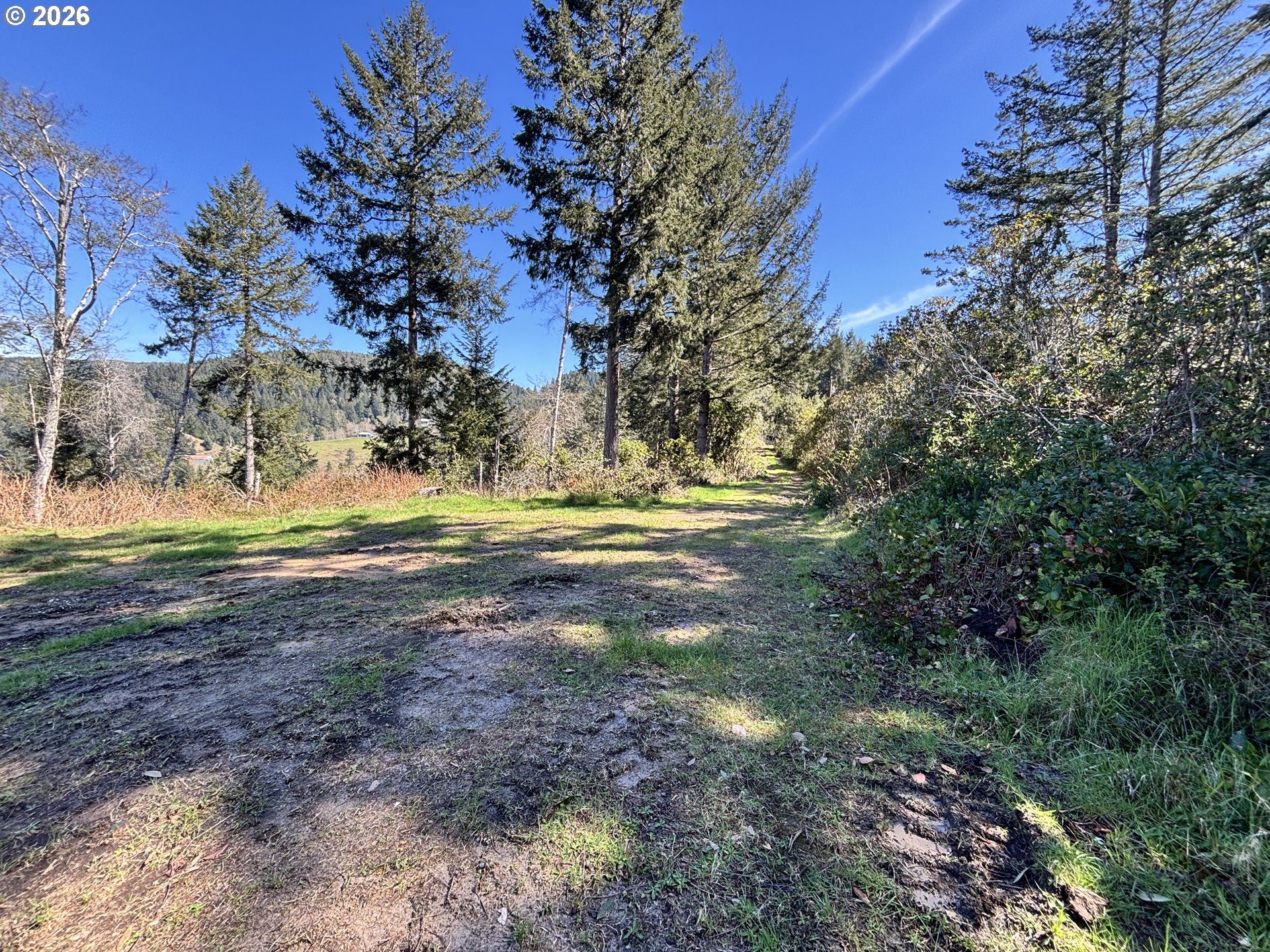 96475 Cape Ferrelo Road Brookings, OR 97415 - Photo 12 of 30 a view of dirt field with trees around