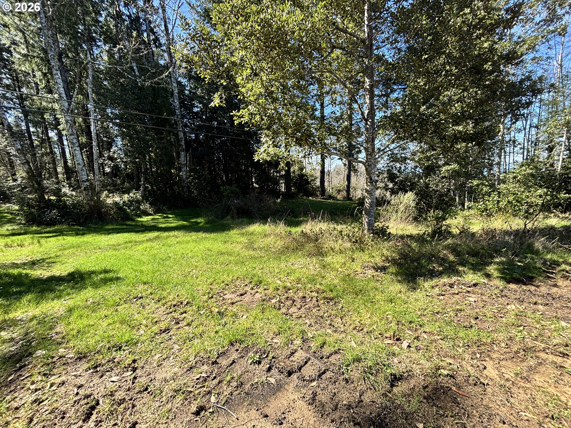 96475 Cape Ferrelo Road Brookings, OR 97415 - Photo 14 of 30 a view of backyard with green space