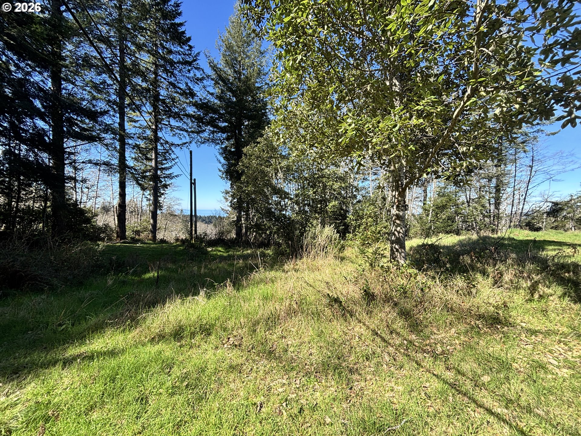 96475 Cape Ferrelo Road Brookings, OR 97415 - Photo 15 of 30 a view of backyard with green space