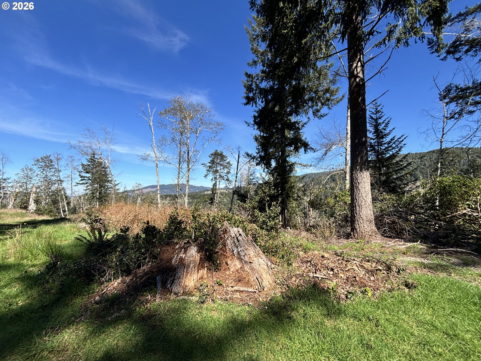 96475 Cape Ferrelo Road Brookings, OR 97415 - Photo 16 of 30 a view of a yard in front of a house
