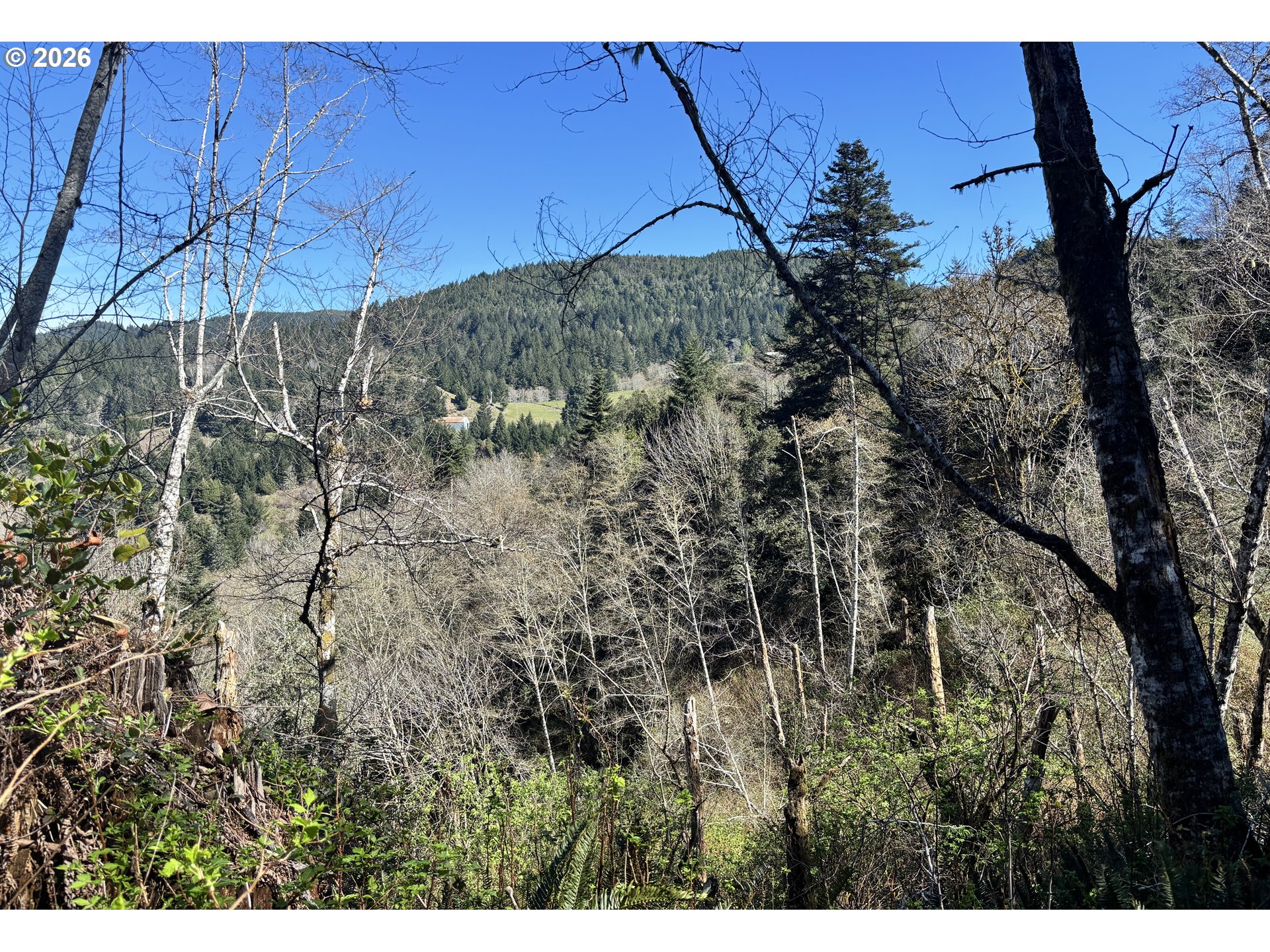96475 Cape Ferrelo Road Brookings, OR 97415 - Photo 18 of 30 a view of a yard