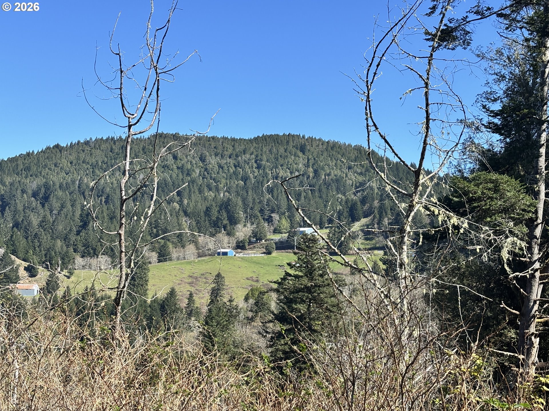 96475 Cape Ferrelo Road Brookings, OR 97415 - Photo 19 of 30 a view of a yard with a tree