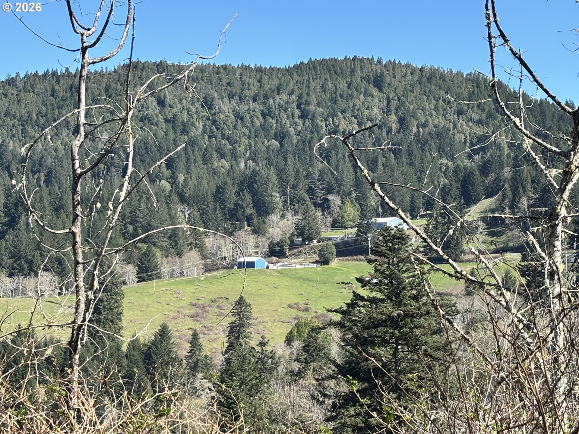 96475 Cape Ferrelo Road Brookings, OR 97415 - Photo 20 of 30 a view of a yard with large trees