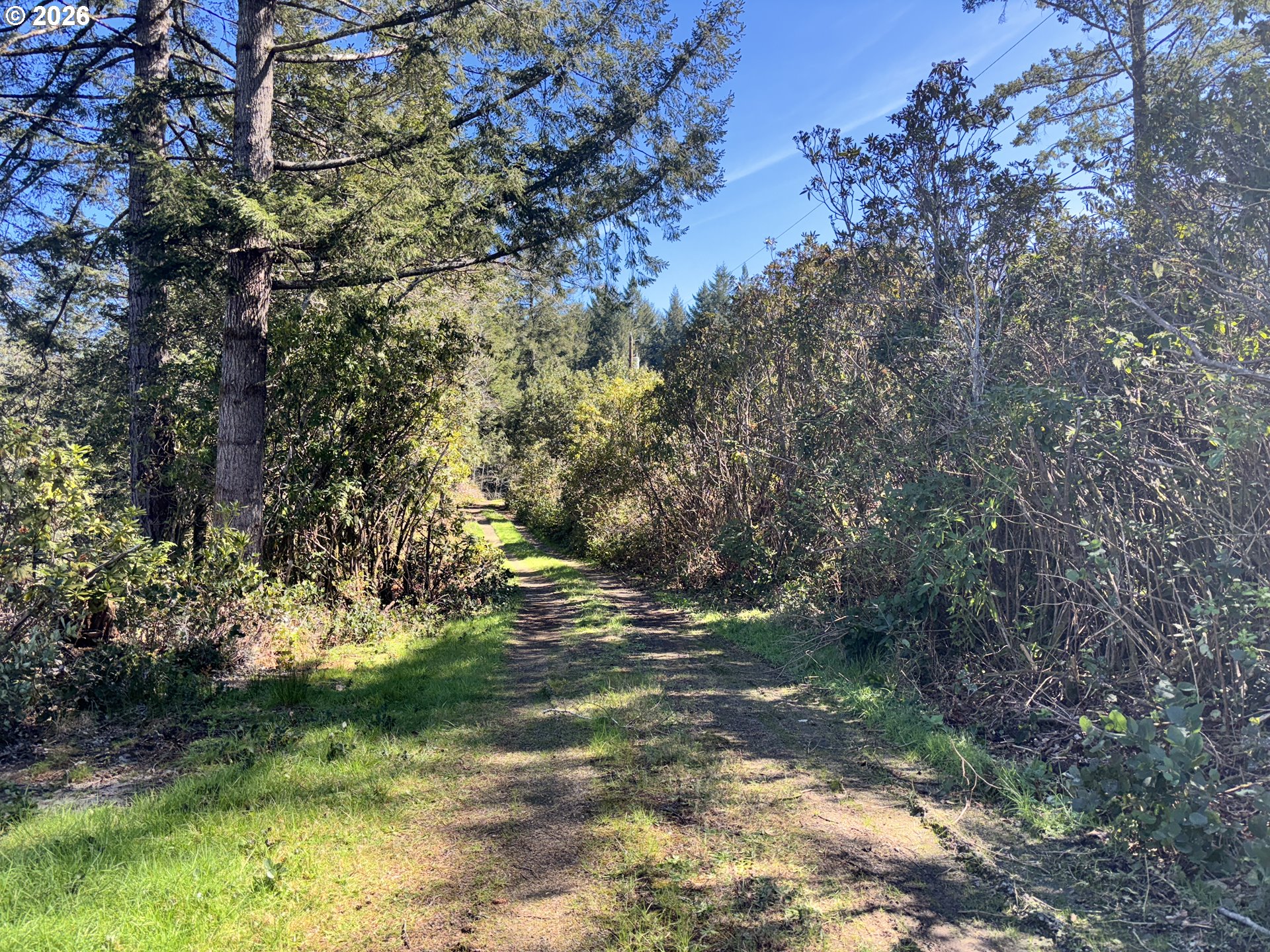 96475 Cape Ferrelo Road Brookings, OR 97415 - Photo 2 of 30 a view of outdoor space and trees
