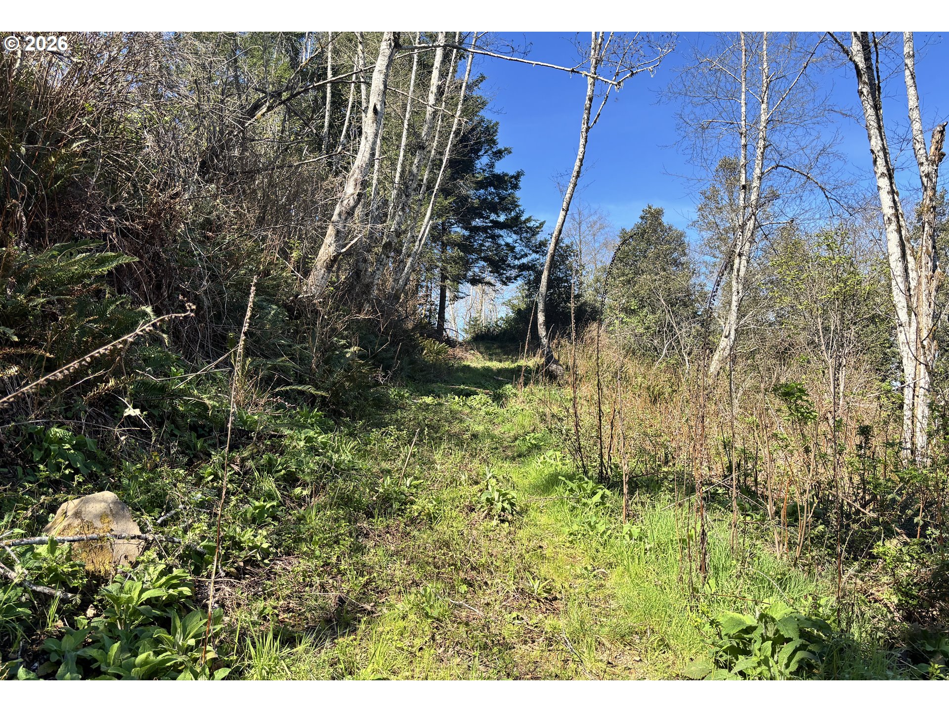 96475 Cape Ferrelo Road Brookings, OR 97415 - Photo 21 of 30 a backyard of a house with lots of green space