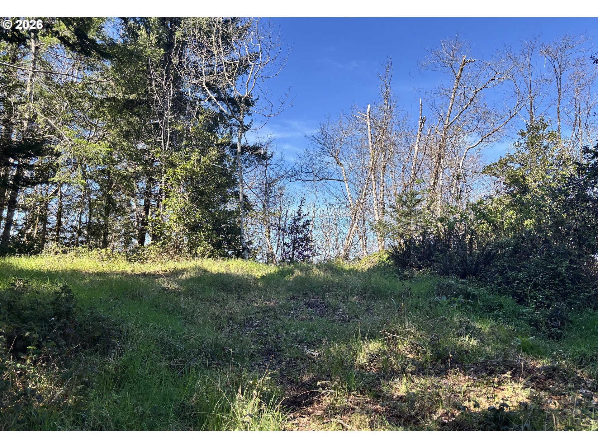 96475 Cape Ferrelo Road Brookings, OR 97415 - Photo 23 of 30 a view of a yard