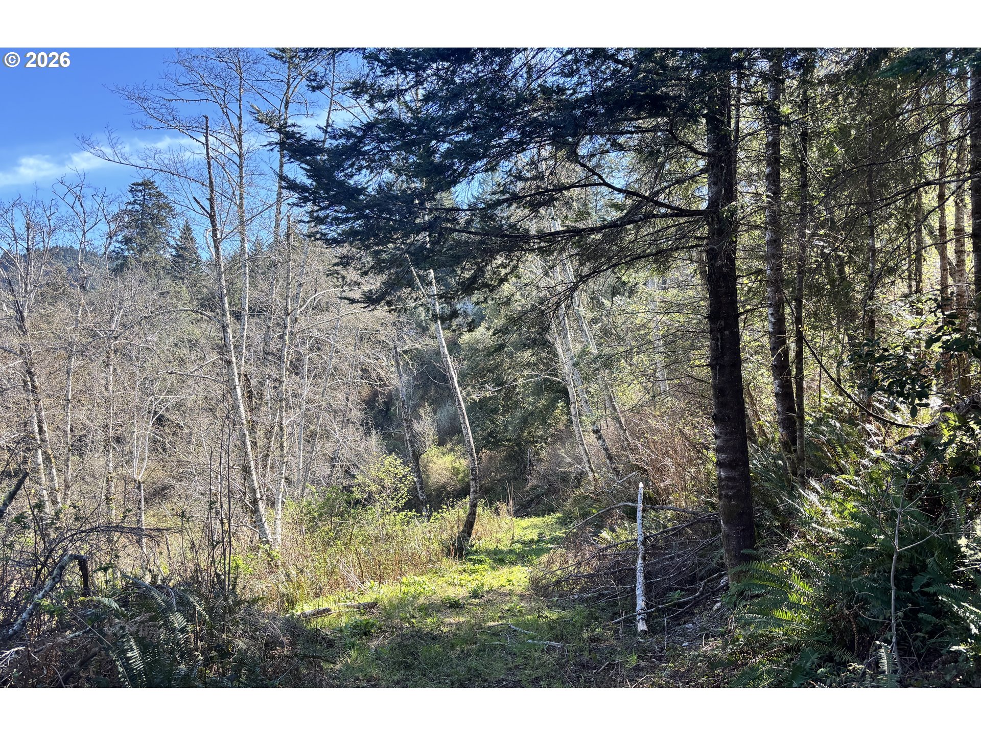 96475 Cape Ferrelo Road Brookings, OR 97415 - Photo 24 of 30 a bird view of building and trees in the background