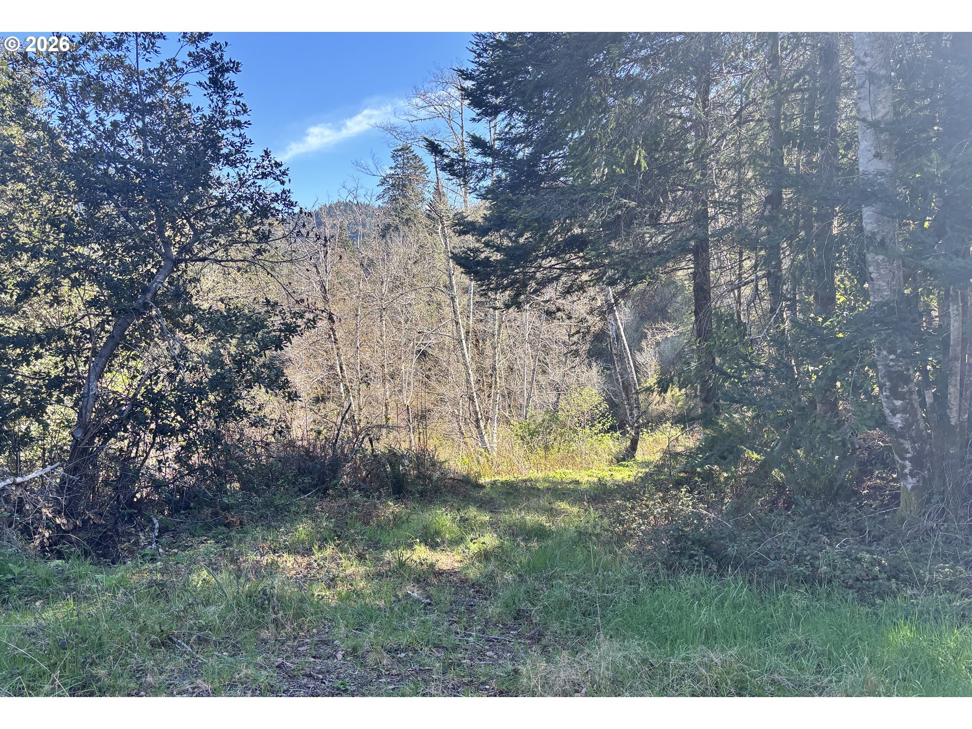 96475 Cape Ferrelo Road Brookings, OR 97415 - Photo 25 of 30 a view of a yard in a yard