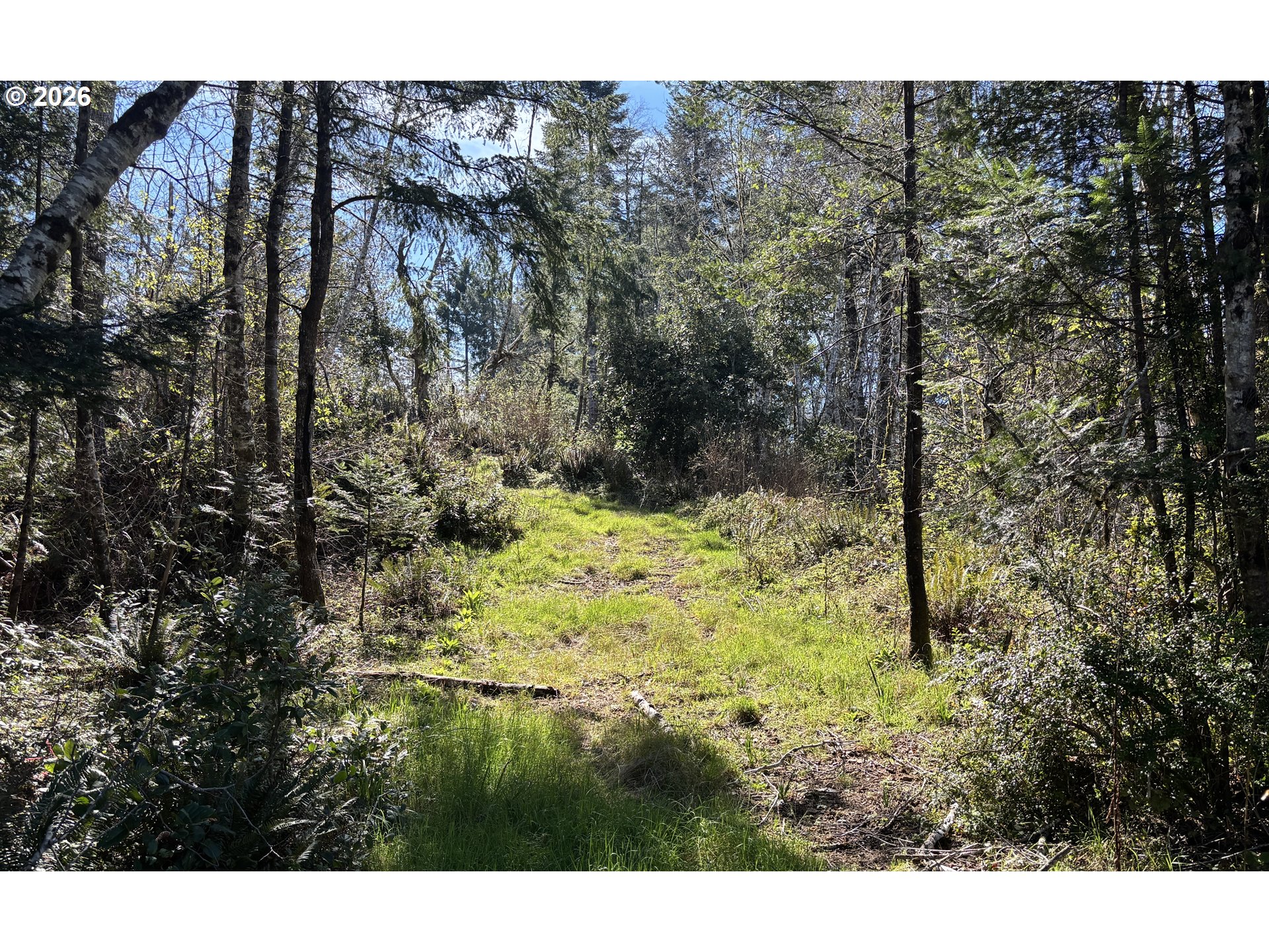 96475 Cape Ferrelo Road Brookings, OR 97415 - Photo 26 of 30 a view of yard with green space