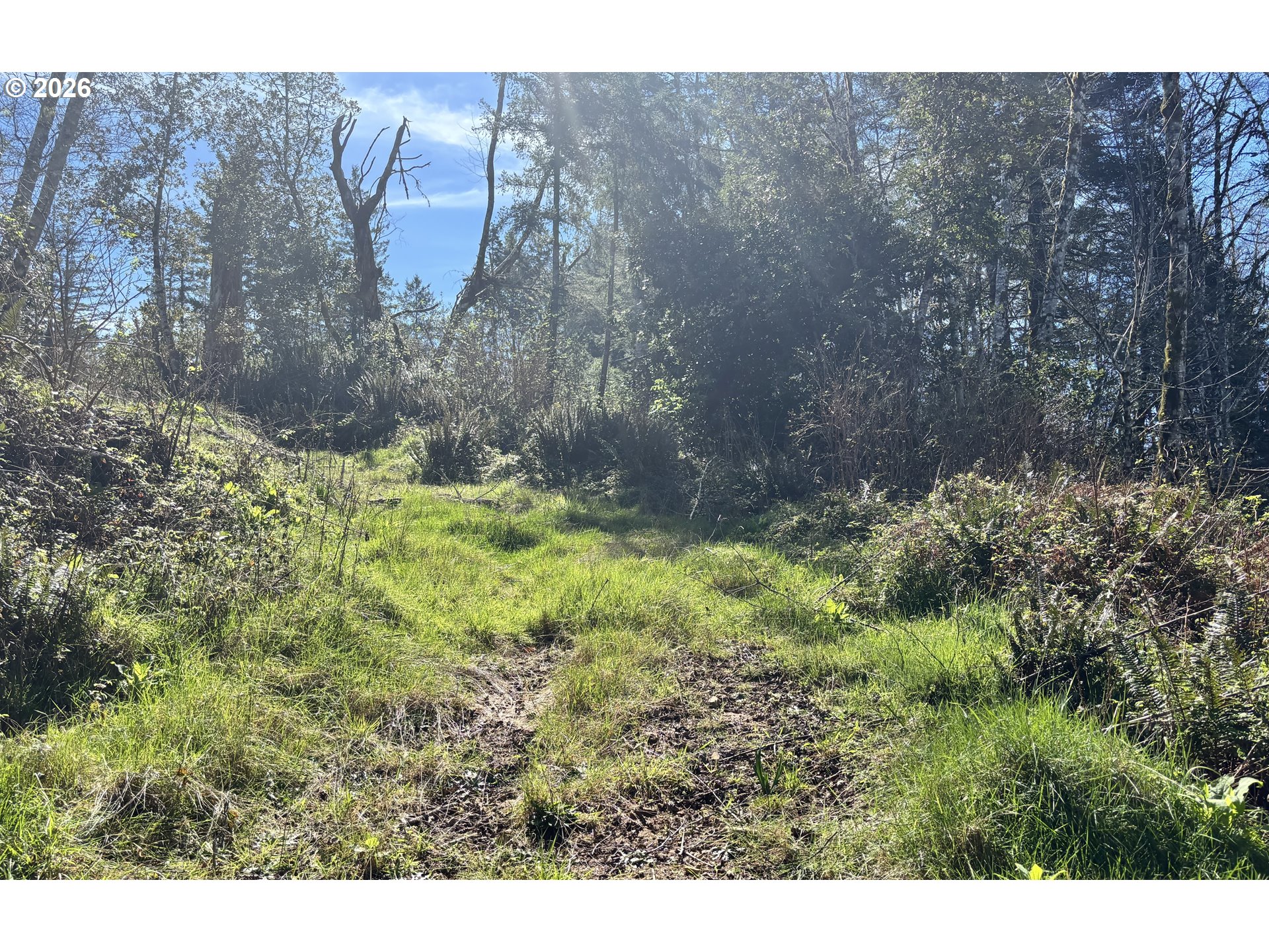 96475 Cape Ferrelo Road Brookings, OR 97415 - Photo 27 of 30 a backyard of a house with lots of green space