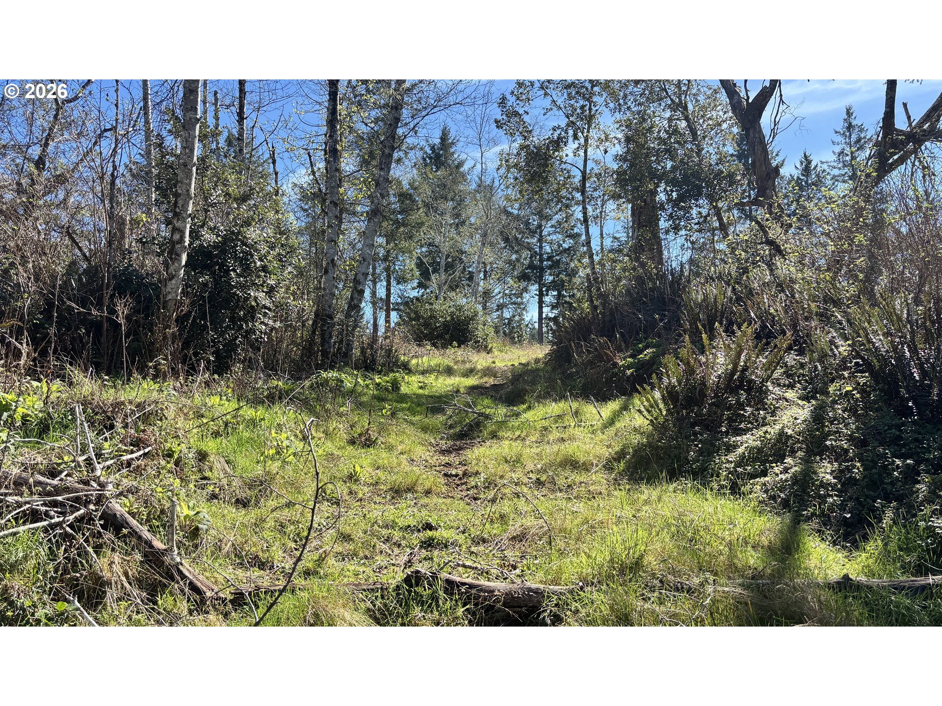96475 Cape Ferrelo Road Brookings, OR 97415 - Photo 28 of 30 a view of a back yard