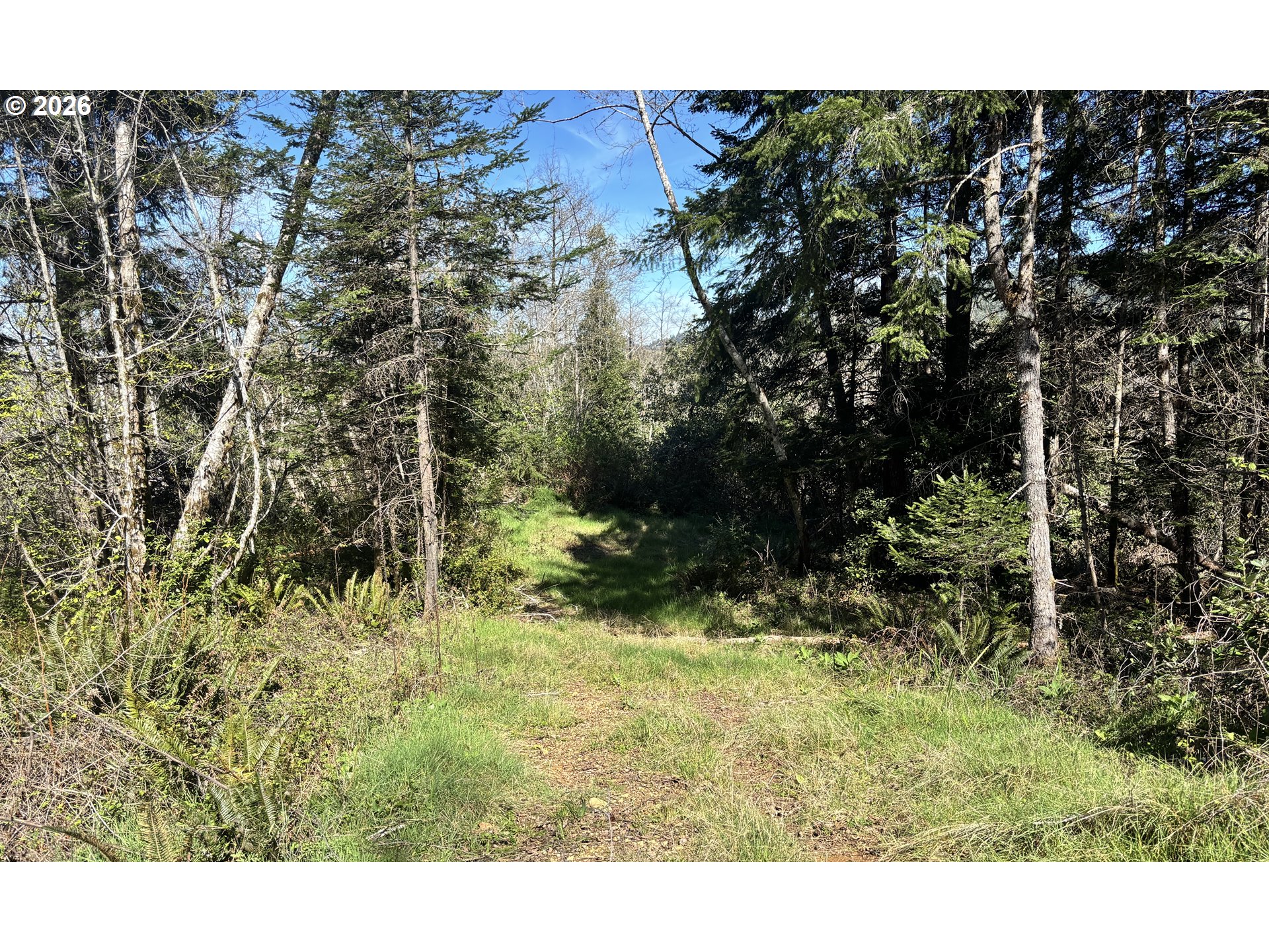 96475 Cape Ferrelo Road Brookings, OR 97415 - Photo 29 of 30 a view of a back yard