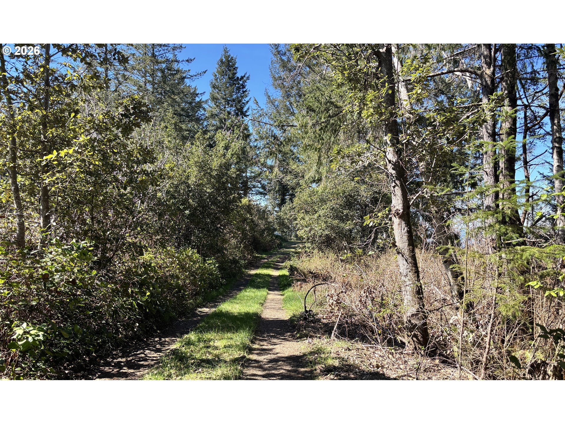 96475 Cape Ferrelo Road Brookings, OR 97415 - Photo 3 of 30 a view of a back yard