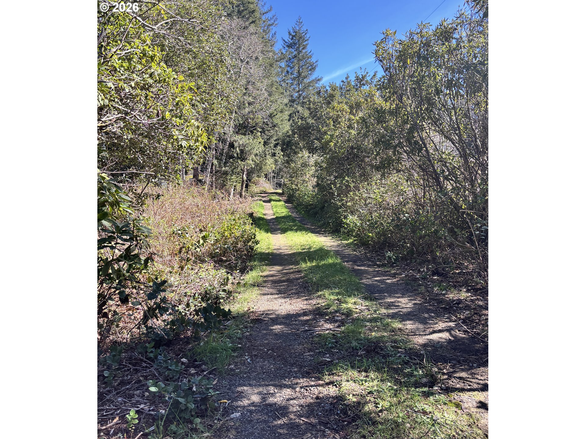 96475 Cape Ferrelo Road Brookings, OR 97415 - Photo 4 of 30 a view of a yard with plants and trees
