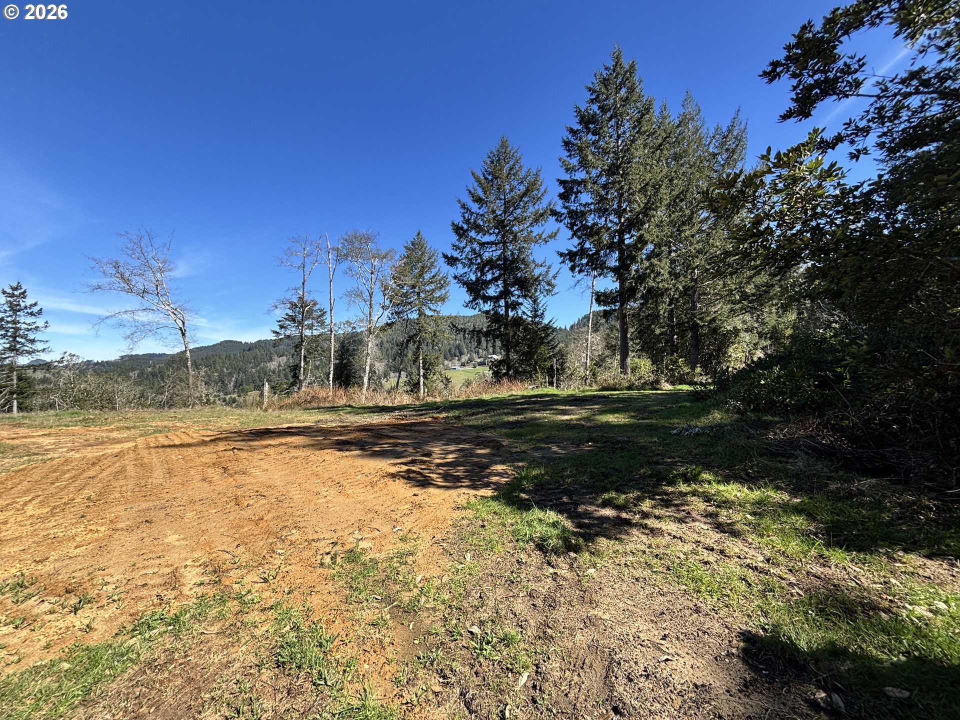 96475 Cape Ferrelo Road Brookings, OR 97415 - Photo 8 of 30 a view of a yard with an trees