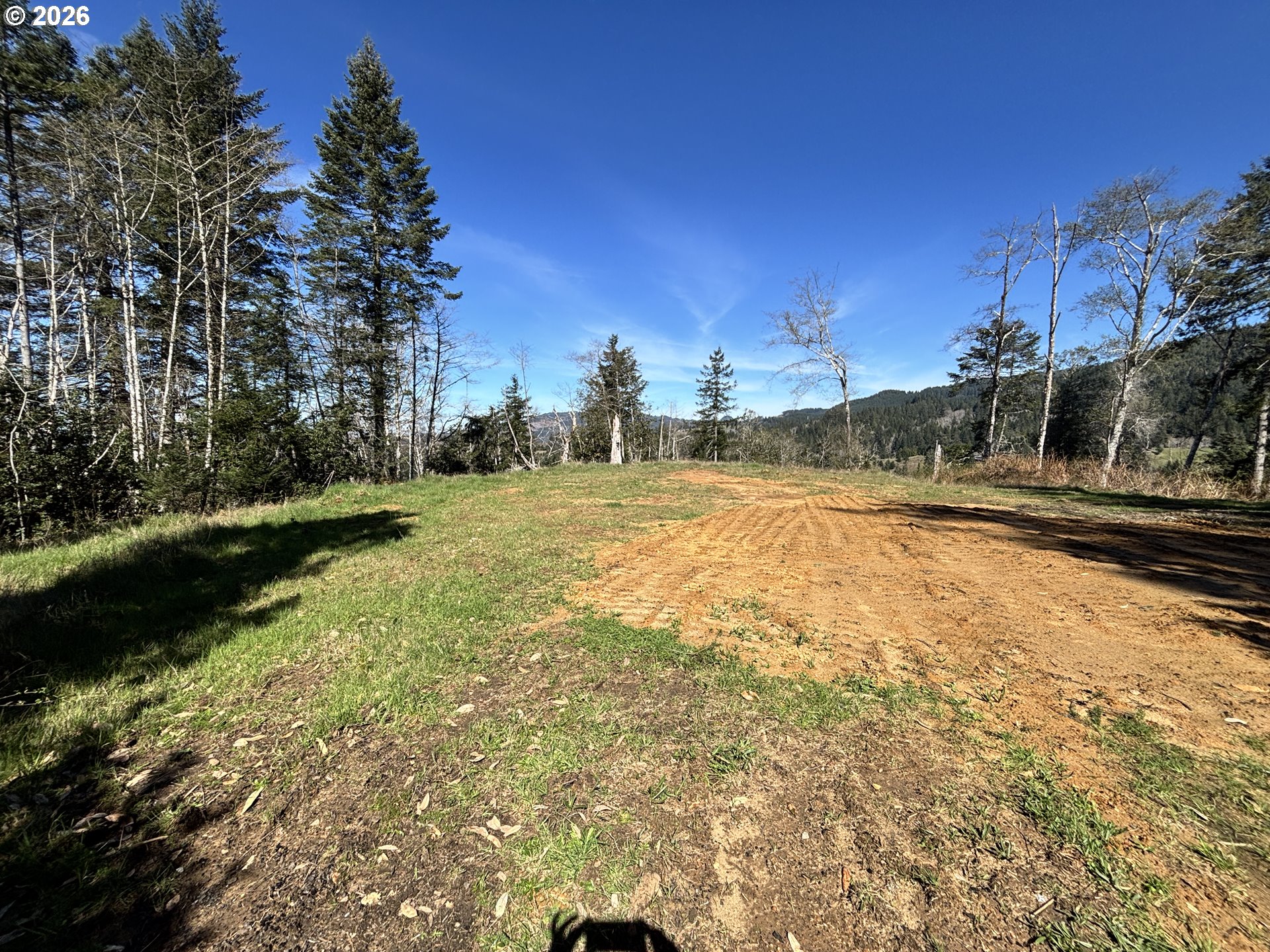 96475 Cape Ferrelo Road Brookings, OR 97415 - Photo 9 of 30 a view of yard with swimming pool and trees