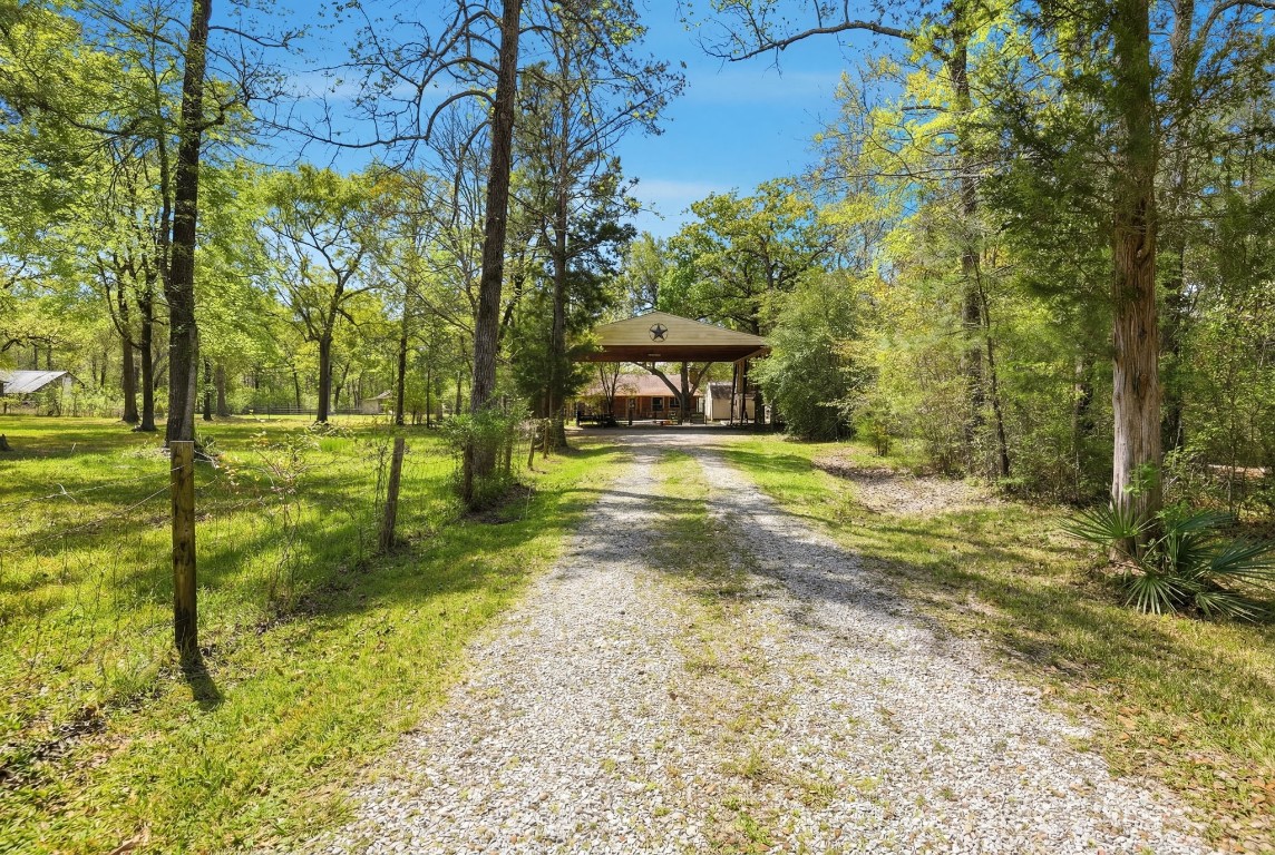 11080 Donna Conroe, TX 77306 - Photo 21 of 26