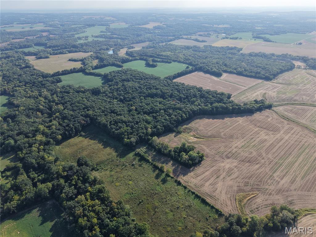 0 Wesbecher Road Ellis Grove, IL 62241 - Photo 13 of 25 Gallery Image 13