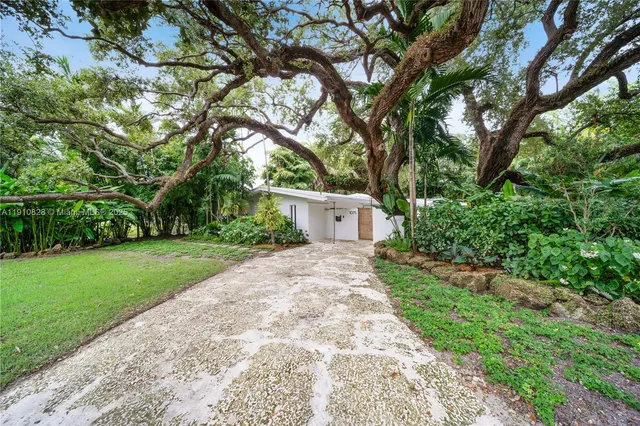 a view of a yard with plants and a large tree