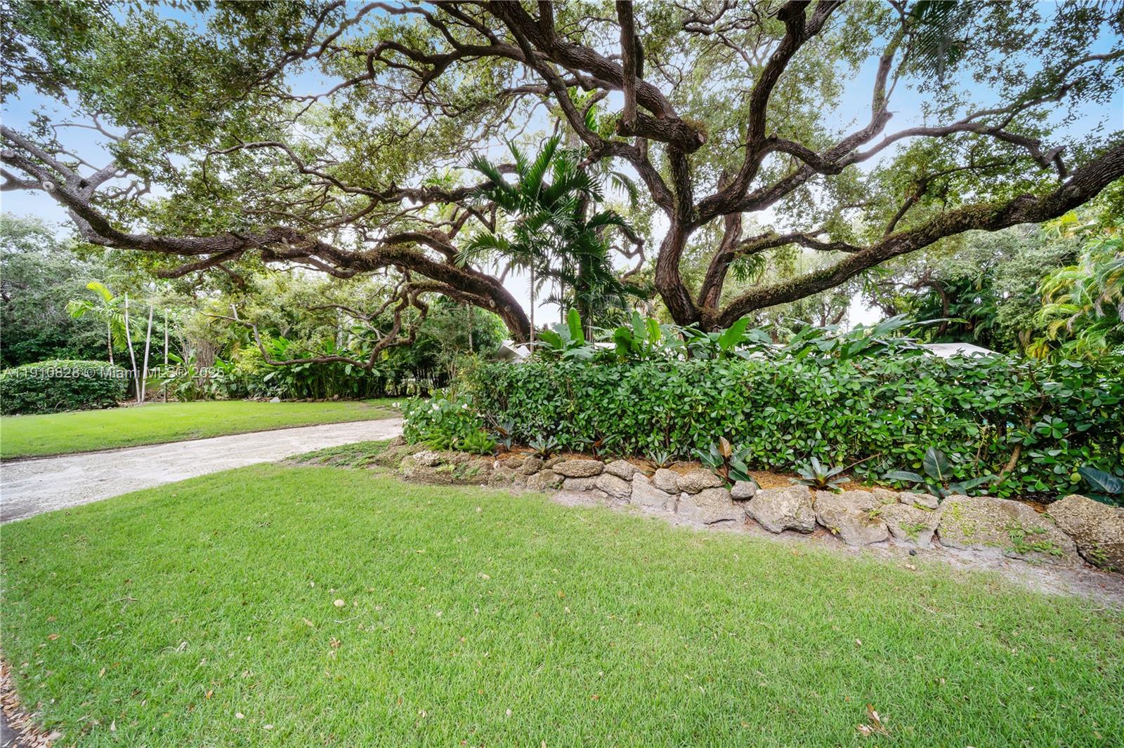 1075 Northeast 99th Street Miami Shores, FL 33138 - Photo 39 of 63 a view of a garden with a tree