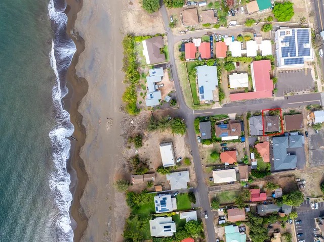 a store with lots of different kinds of flowers