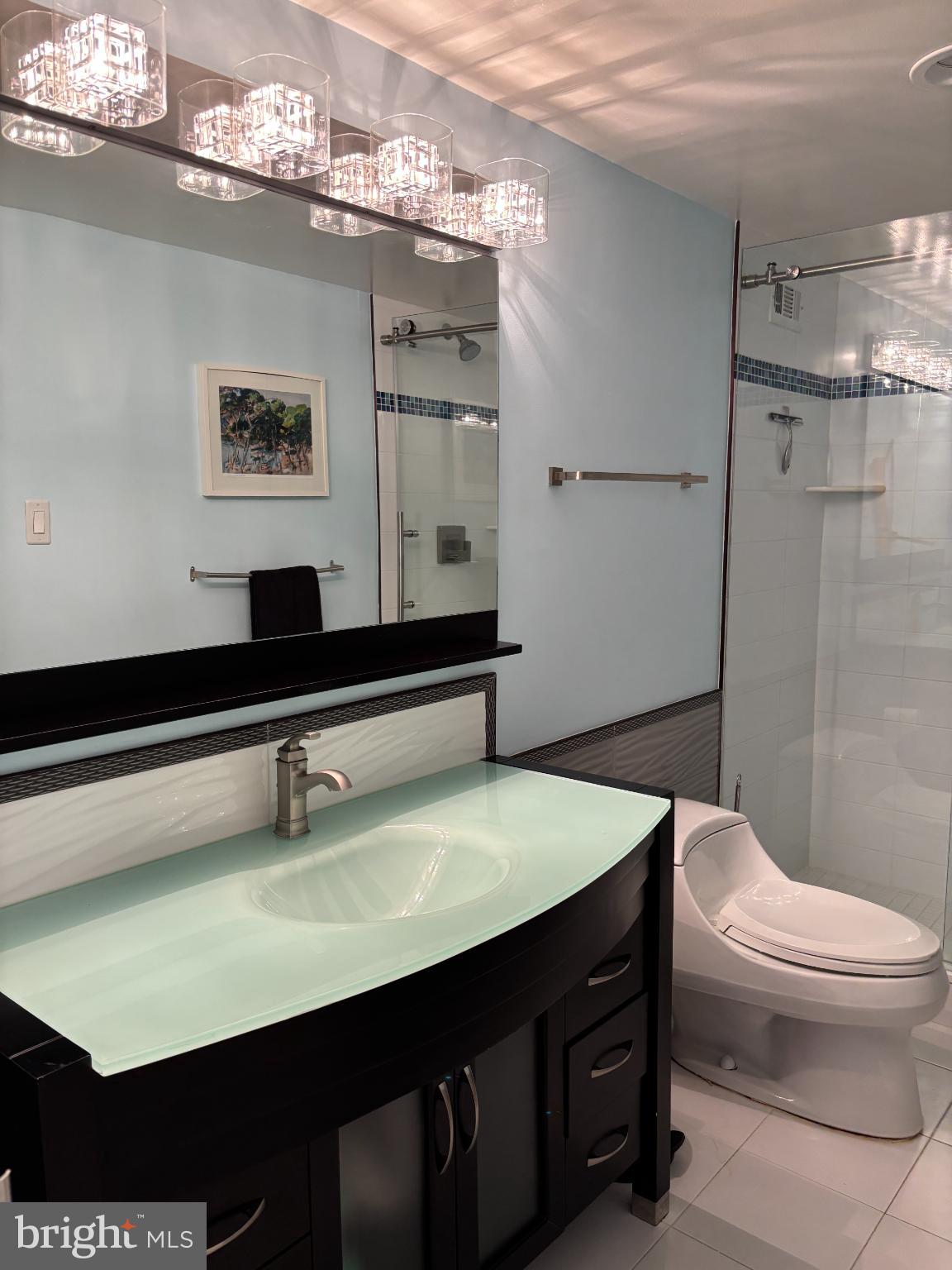 5225 Pooks Hill Road, Unit 528N Bethesda, MD 20814 - Photo 13 of 31 Updated Bath