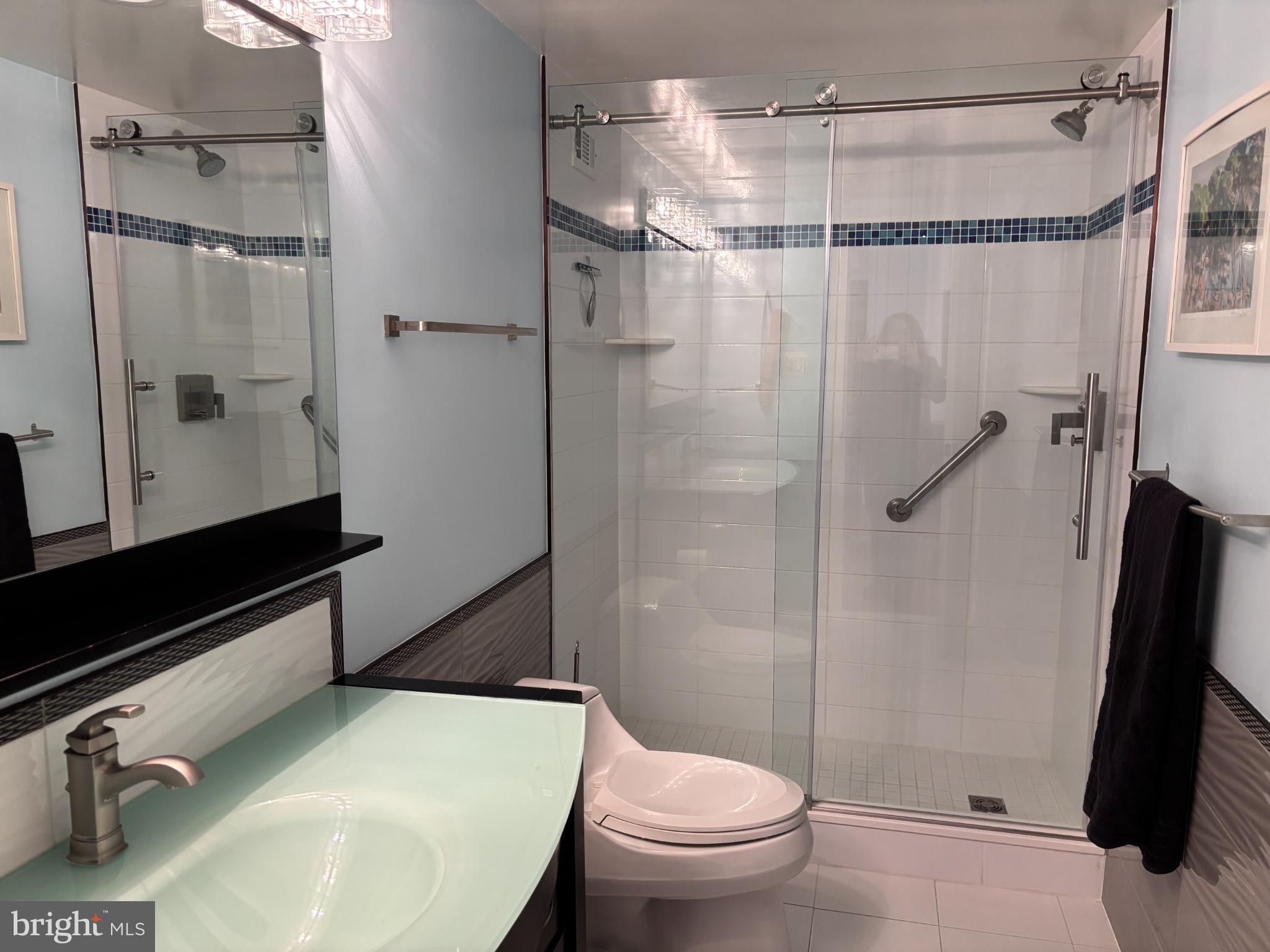 5225 Pooks Hill Road, Unit 528N Bethesda, MD 20814 - Photo 14 of 31 Walk-in Shower