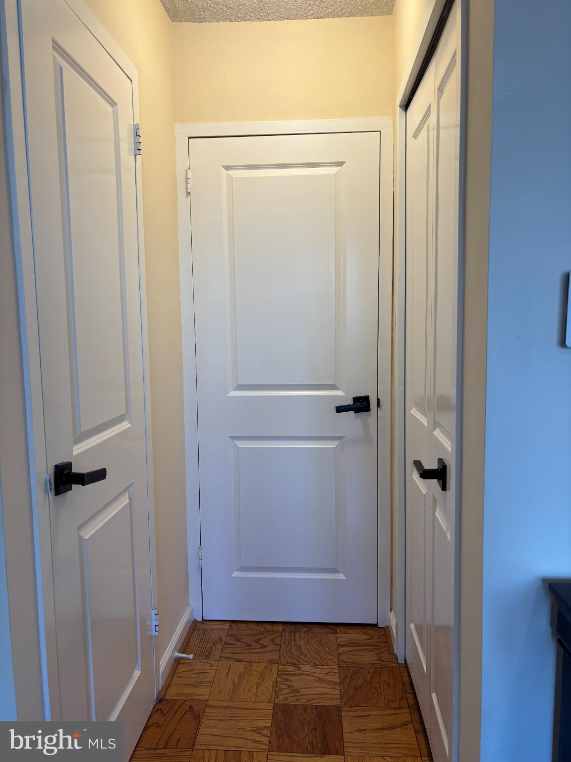 5225 Pooks Hill Road, Unit 528N Bethesda, MD 20814 - Photo 24 of 31 Two Linen Closets in Primary Bedroom