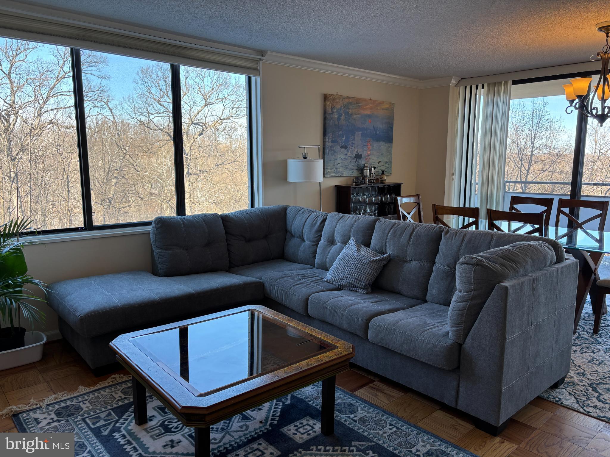 5225 Pooks Hill Road, Unit 528N Bethesda, MD 20814 - Photo 5 of 31 Living Room