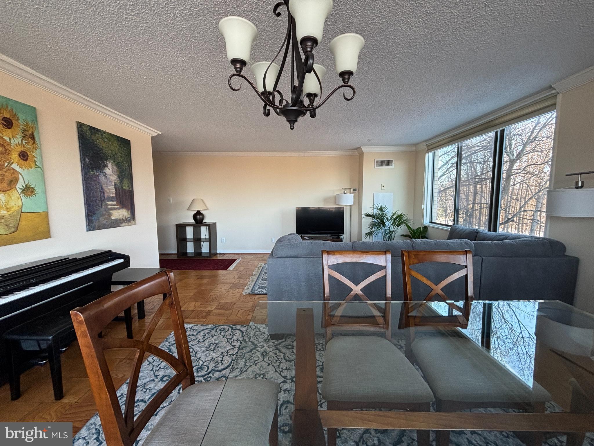 5225 Pooks Hill Road, Unit 528N Bethesda, MD 20814 - Photo 8 of 31 Sunny Corner Unit with lots of light