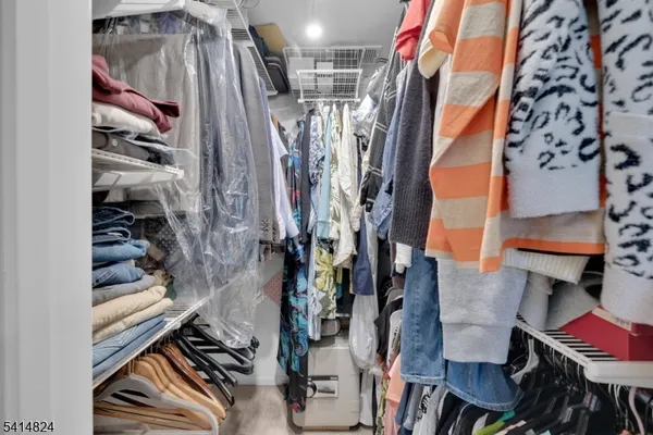 a view of a garden with plants and large trees