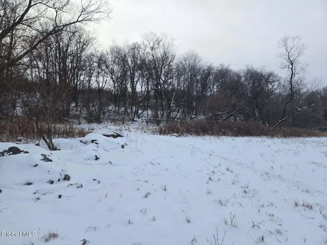 $125,000 | L13.111 Cunningham Road, Canajoharie, NY 13317