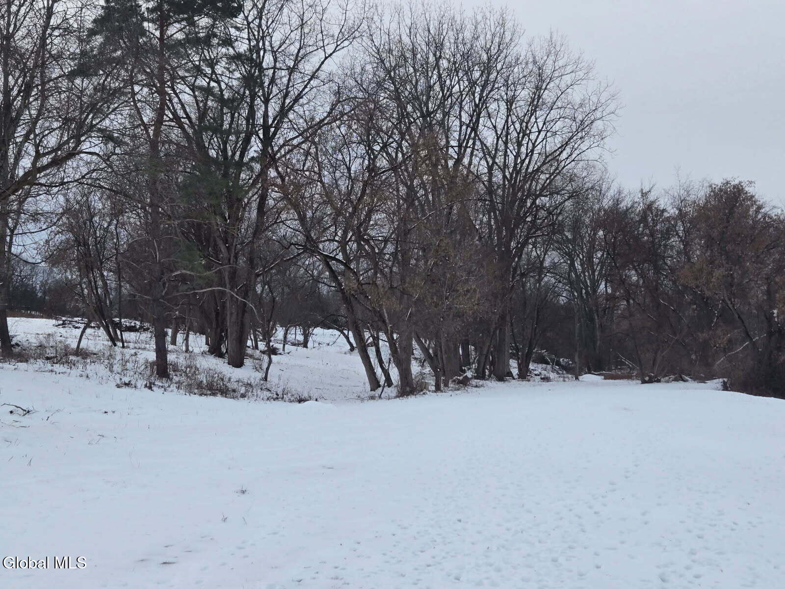 L13.111 Cunningham Road Canajoharie, NY 13317 - Photo 13 of 23 image000000 (11)