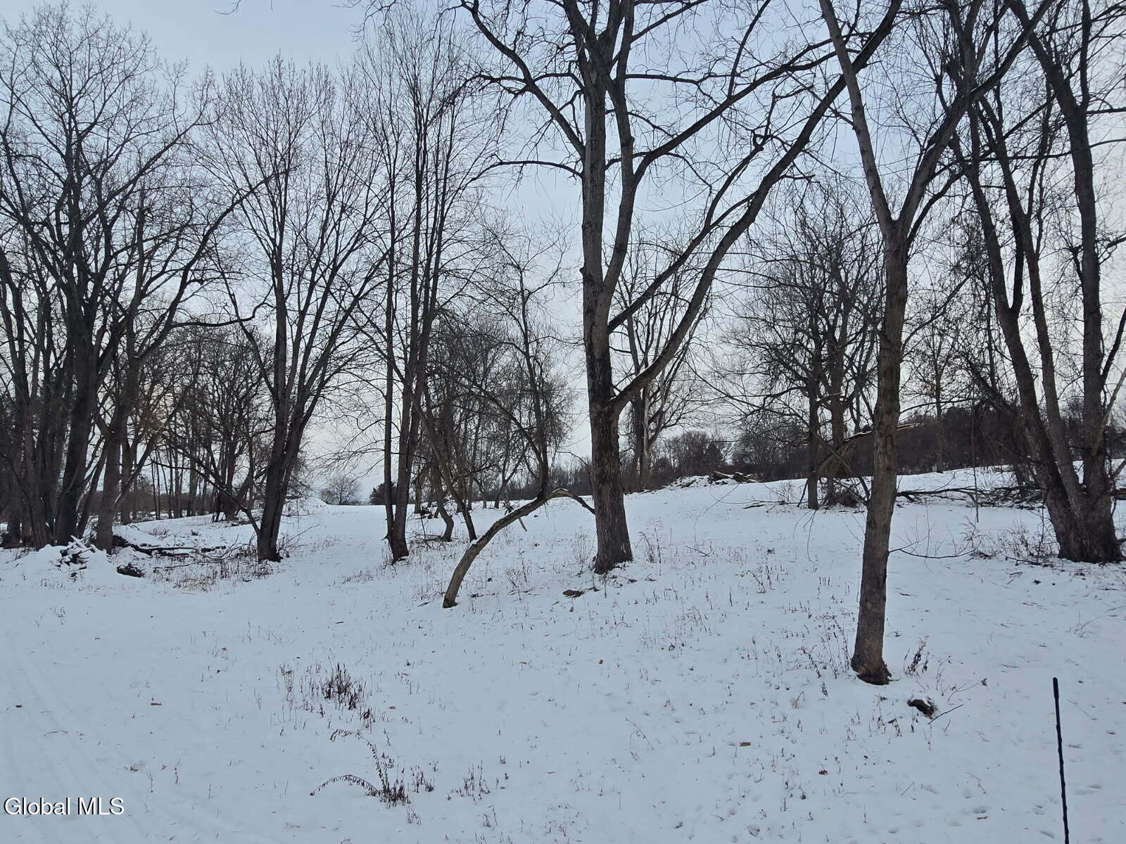 L13.111 Cunningham Road Canajoharie, NY 13317 - Photo 17 of 23 image000000 (5)