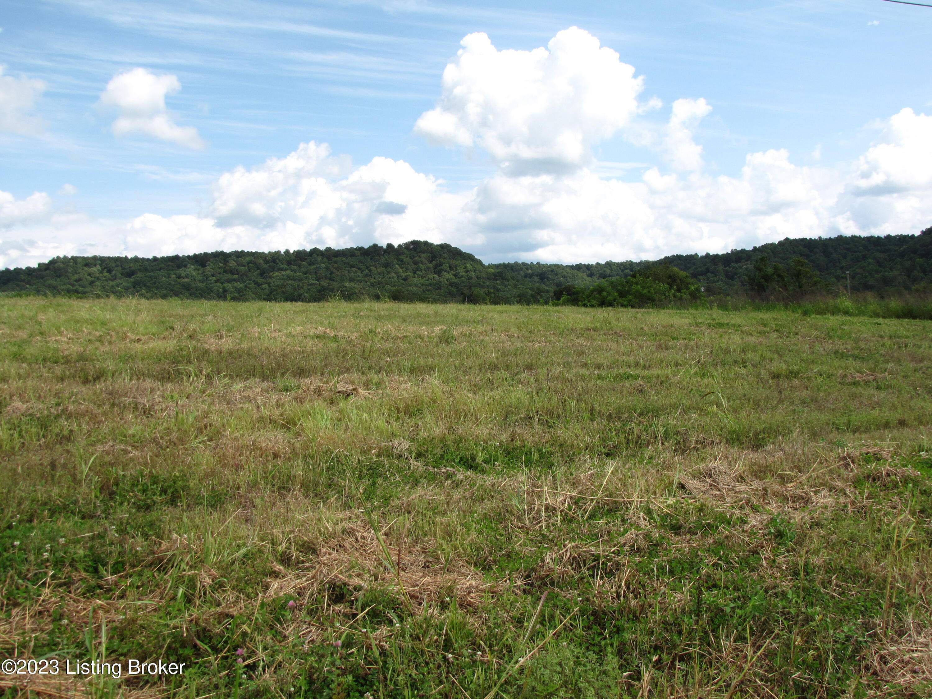 Lot 13 Penick Road Lebanon, KY 40033 - Photo 3 of 3 IMG_1294
